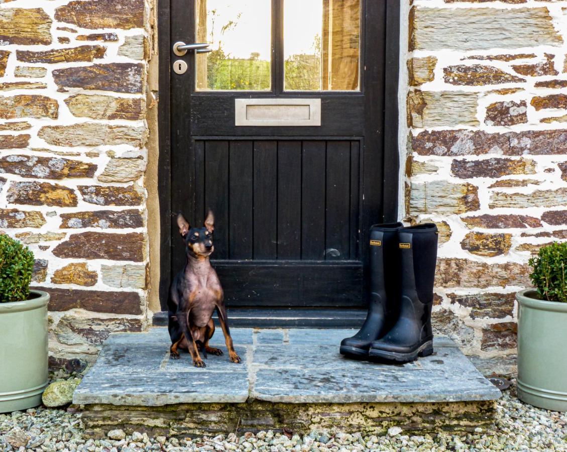 Gwel An Heyl, Padstow Vila Little Petherick Exterior foto